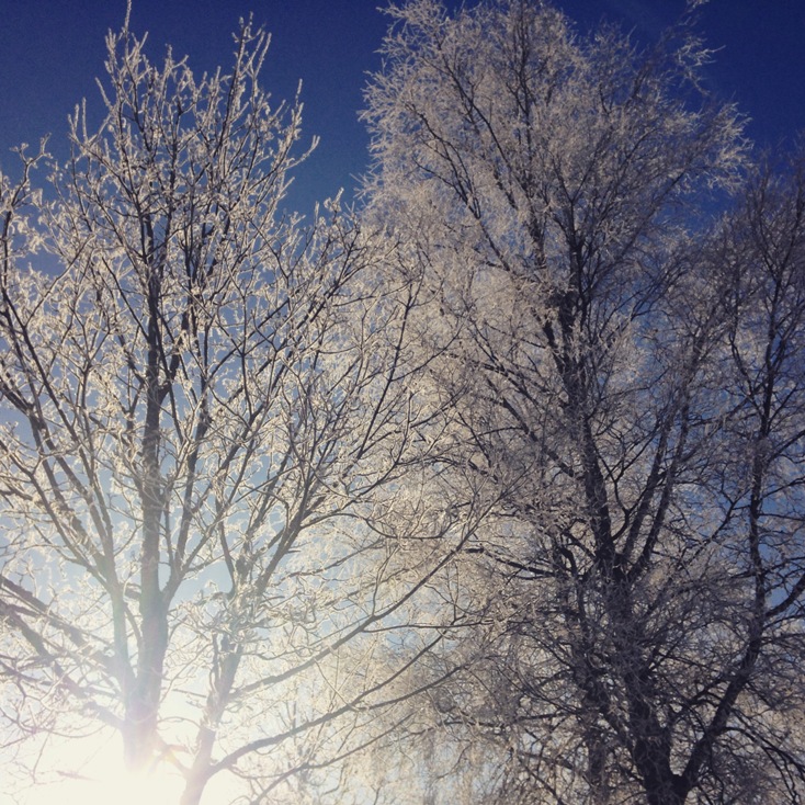 Foto 10.03.16, 08 09 26 (1)