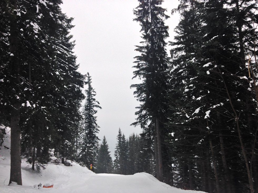 Foto 12.03.16, 09 30 15