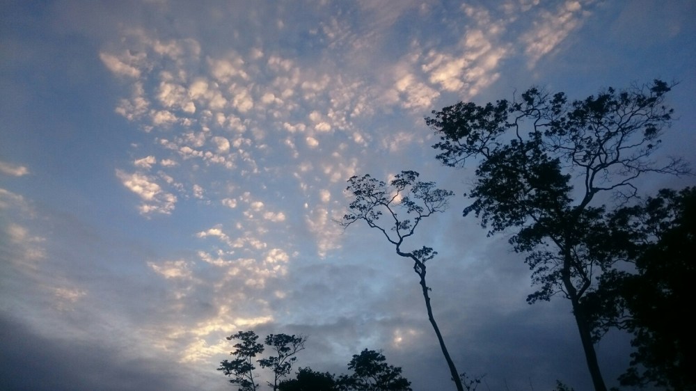 DSC_7642_1496359308902-1536x864